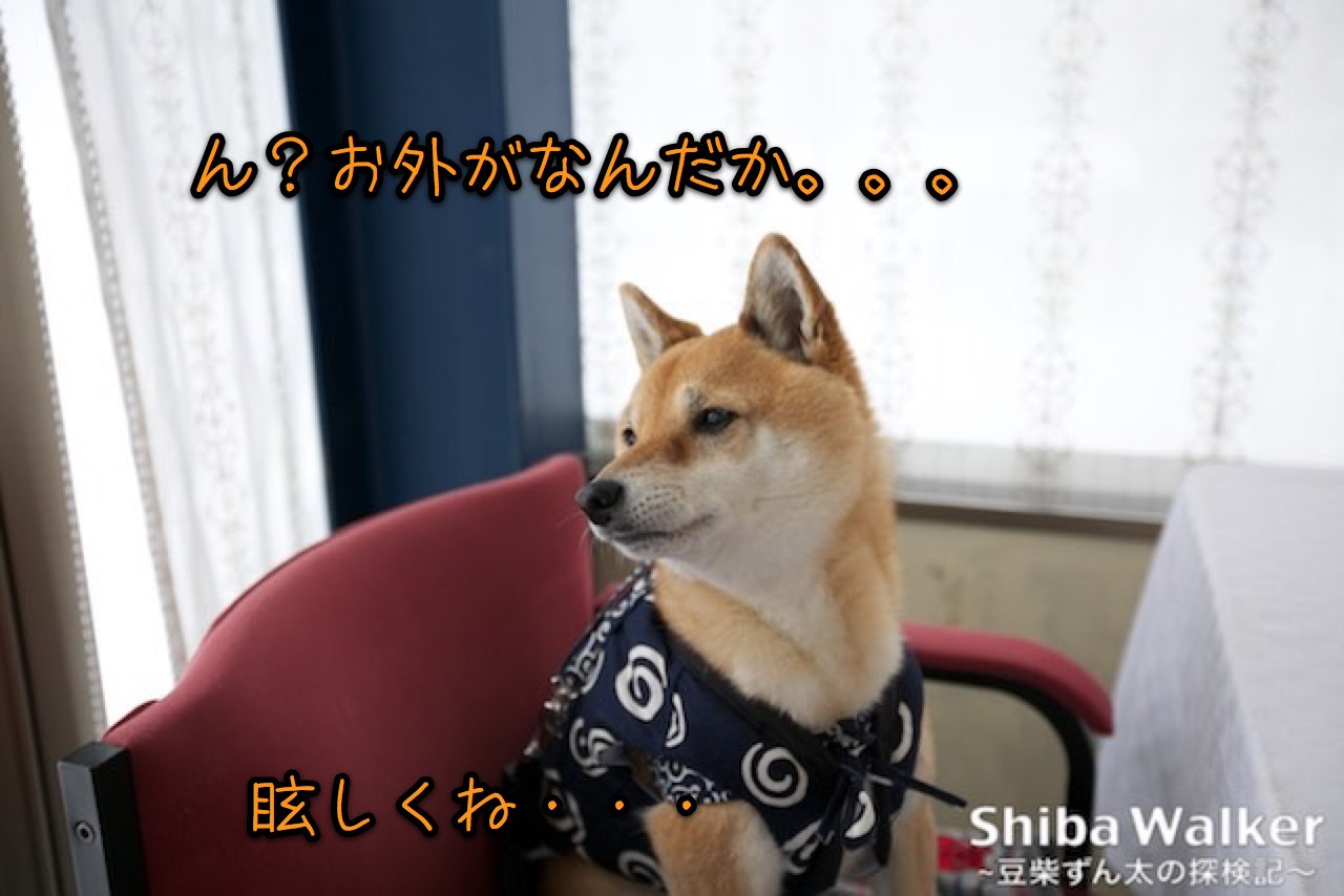 __5D3_6774a